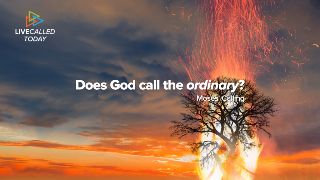 Does God call the ordinary?