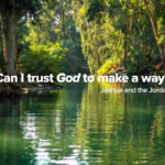 Trust