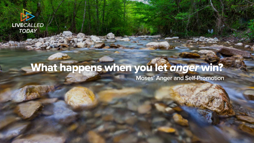What Happens When You Let Anger Win?